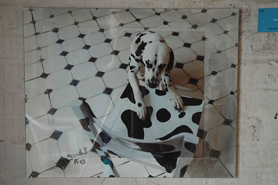 Antje Fuchs - Hund II 