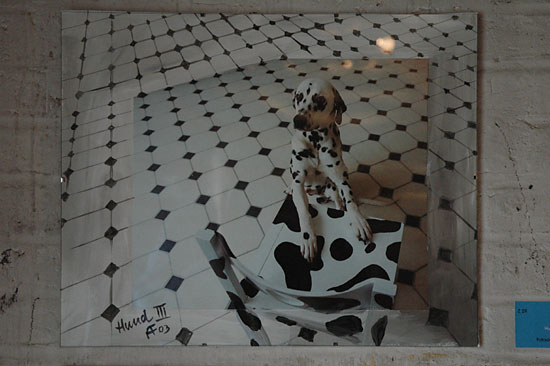 Antje Fuchs - Hund III 